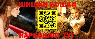 шишки Обь