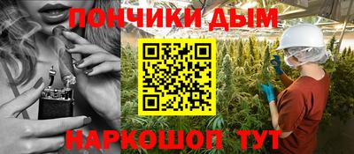 шишки Обь