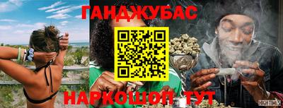 шишки Обь