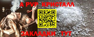 шишки Обь