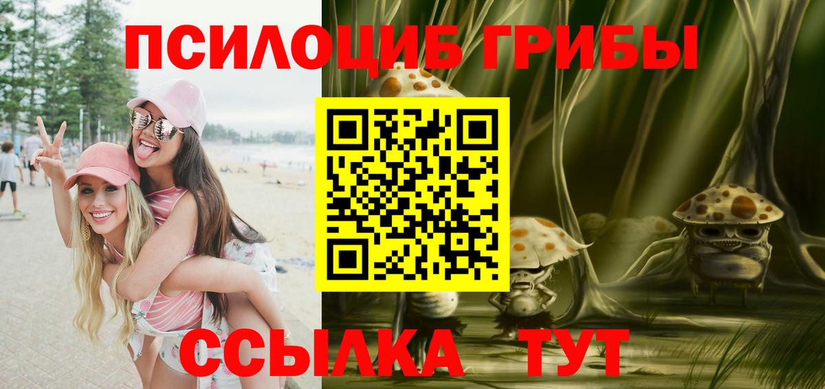 Псилоцибиновые грибы MAGIC MUSHROOMS  Вход с VPN  Галлюциногенные грибы MAGIC MUSHROOMS  где продают наркотики  Сальск 