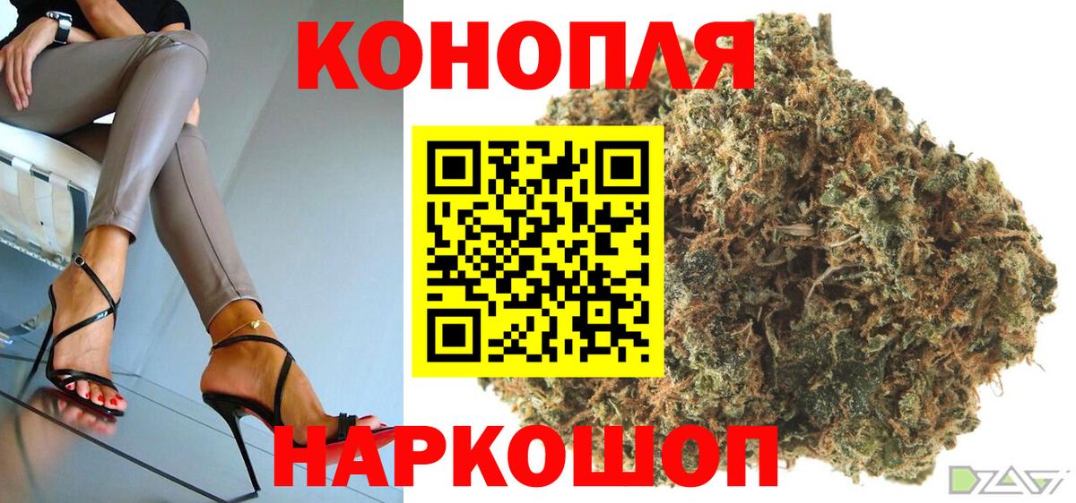 Конопля план Сальск